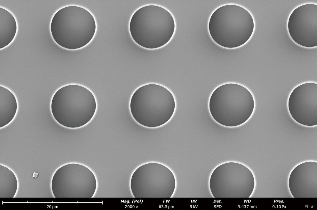 Microfluidic chip