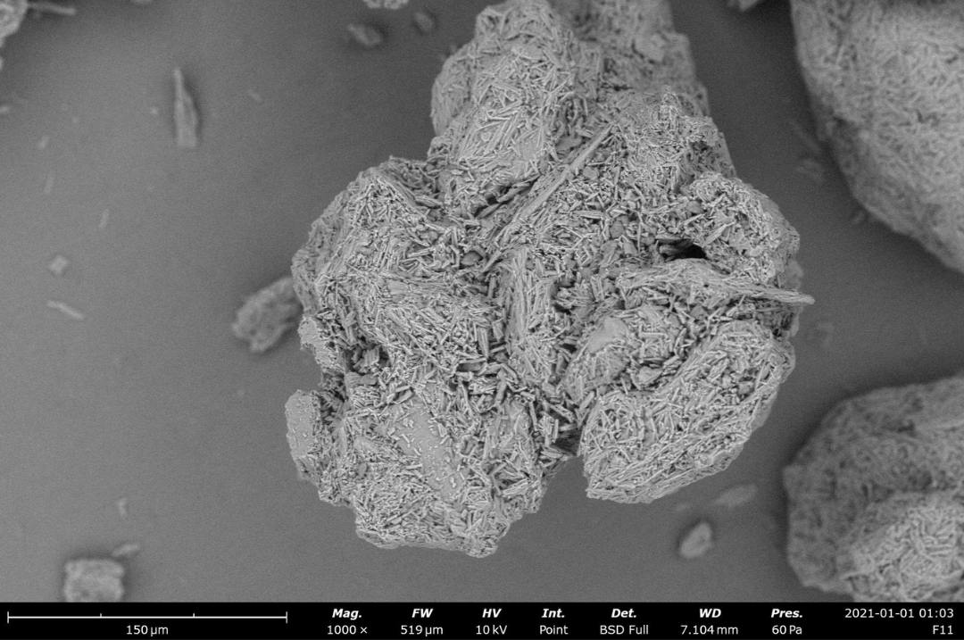 High-porosity Excipients