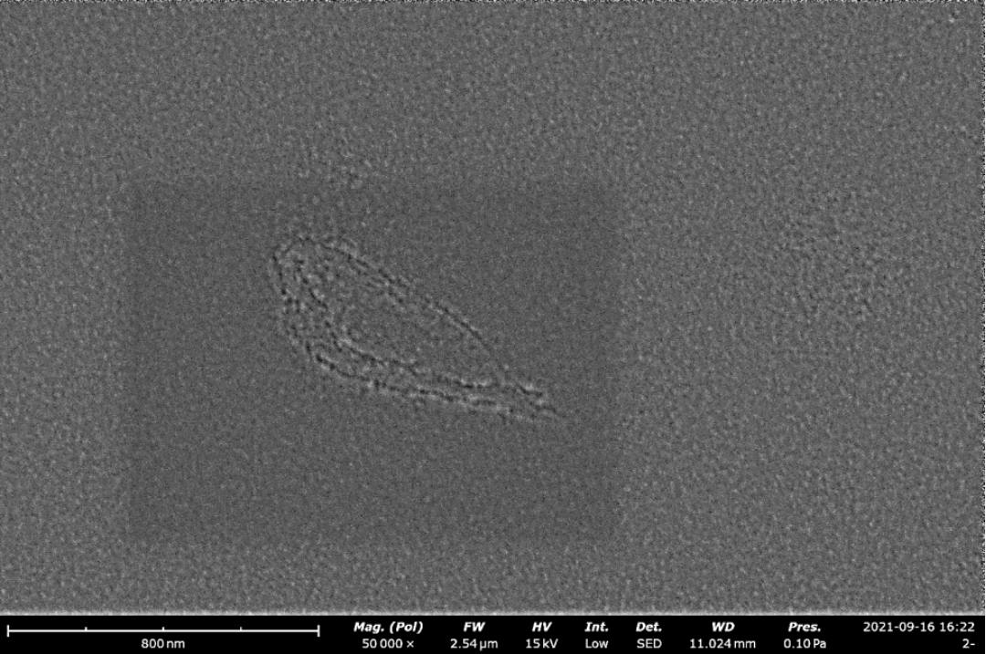 High Borosilicate Glass Bottle Erosion