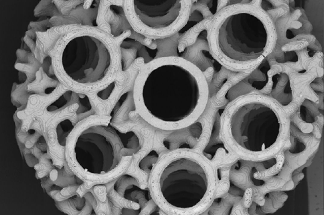 Orthopedic Materials