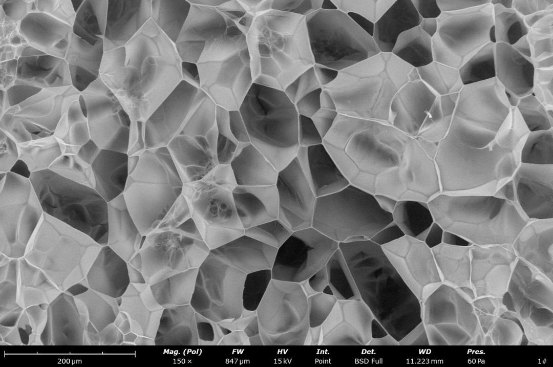 Hydrogels (Observable in Dynamic Conditions)