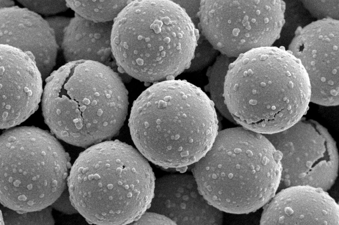 Polymer Microspheres