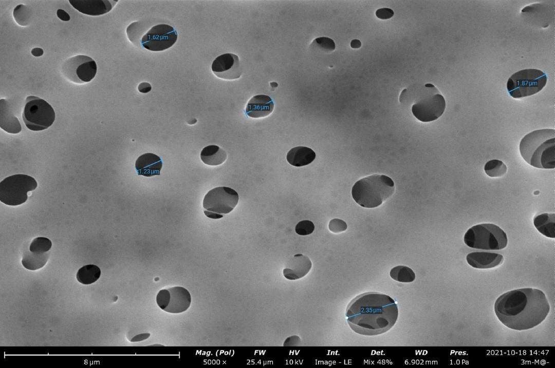 Filter Membrane