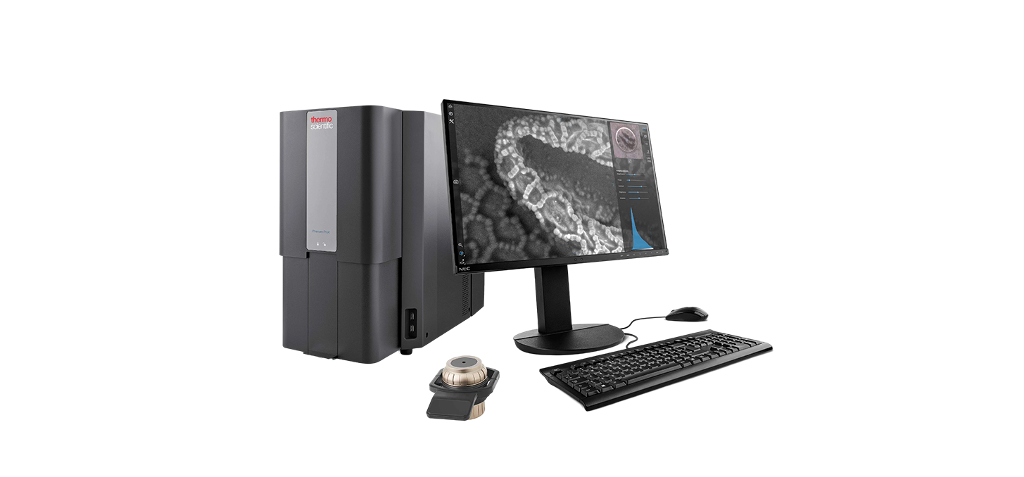 Phenom ProX Desktop SEM with EDS