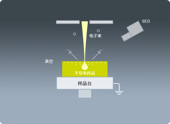 Observing Directly in Low Vacuum for Non-conductive Materials