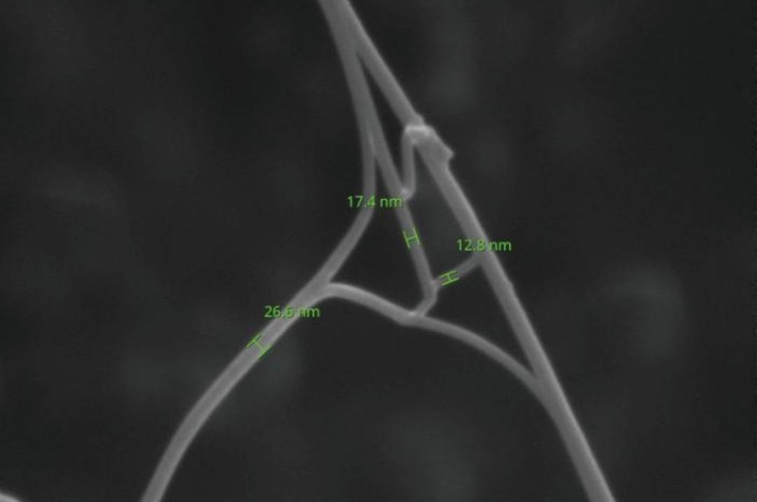 Carbon Nanotubes