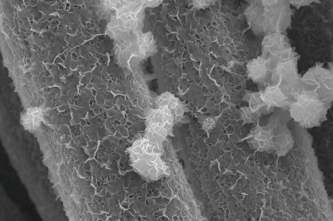 Graphene Fiber