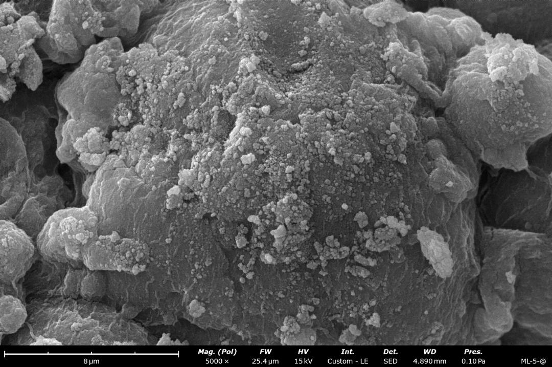 Alumina Ceramic