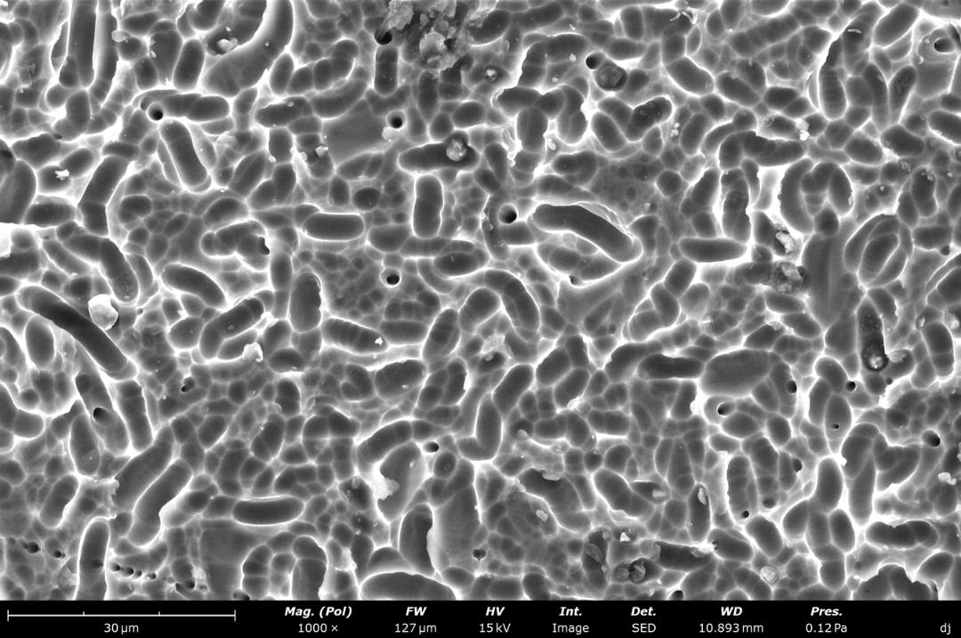 Polycrystalline Silicon - Honeycomb Structure Texture