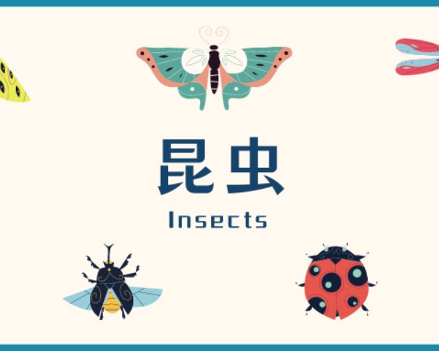 【飞纳三点半】第 45 期直播通知：昆虫的秘密 2