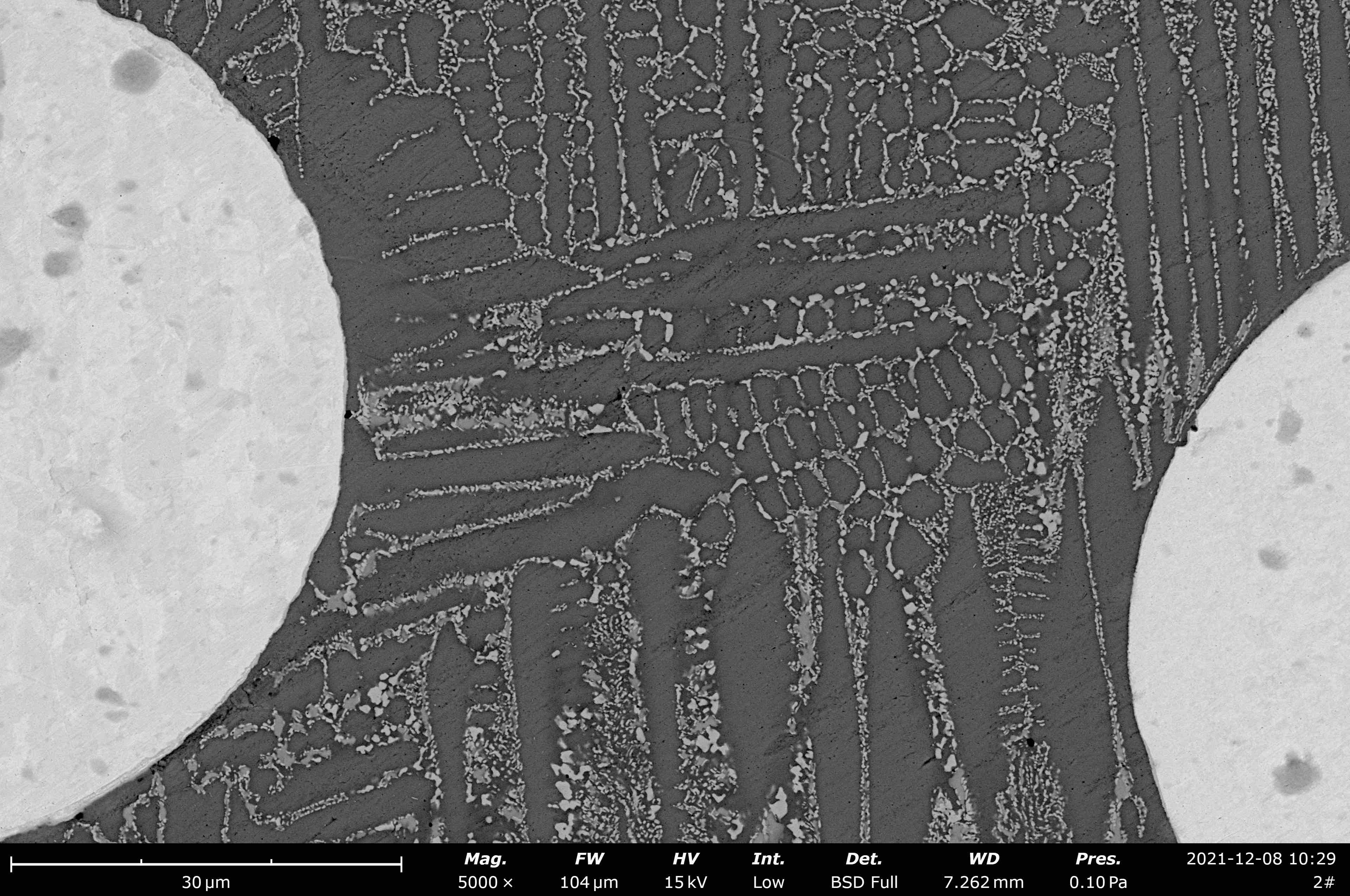 Tungsten alloy
