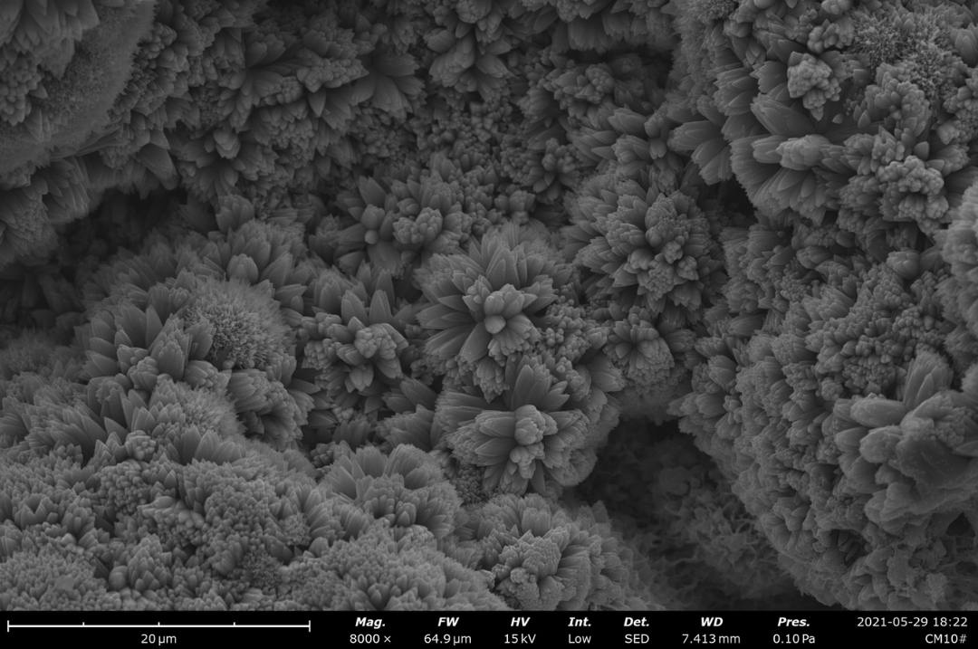 Cement after Hydration