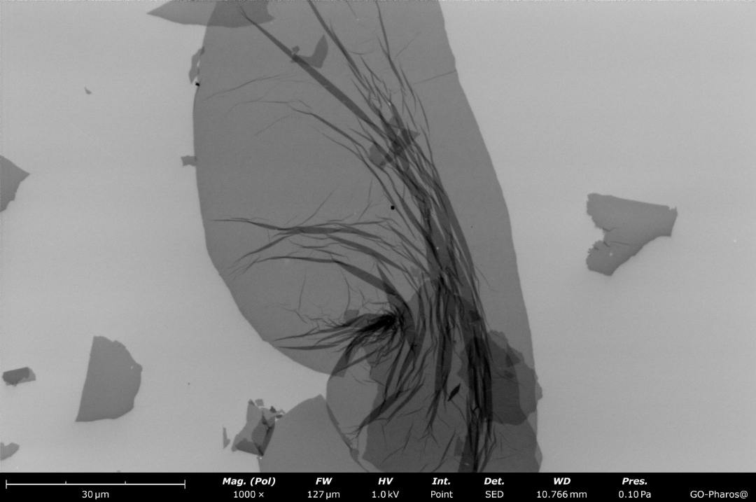 Graphene Oxide