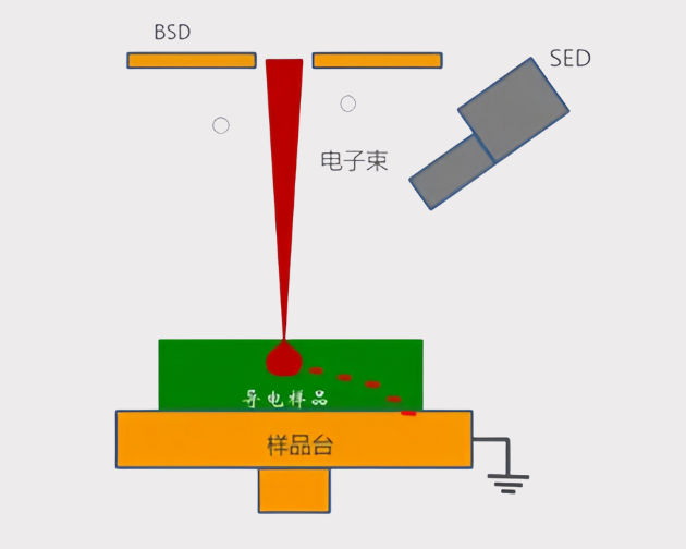 扫描电镜技术：样品导电性对扫描电镜成像的影响