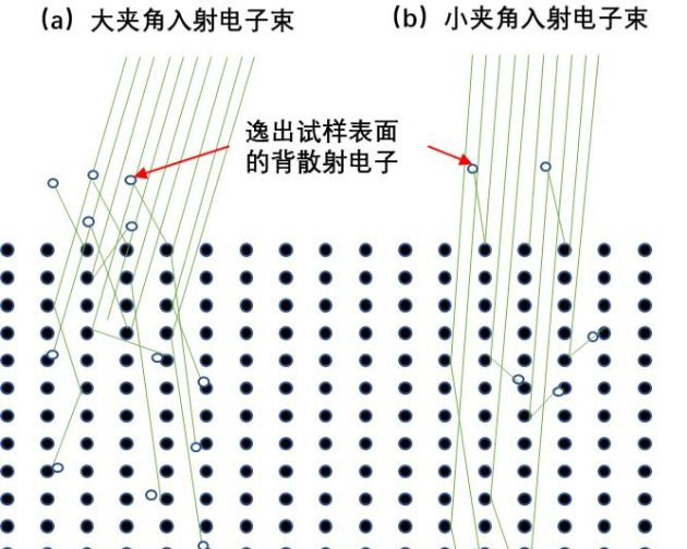 扫描电镜技术：背散射电子的应用 —— 通道衬度成像