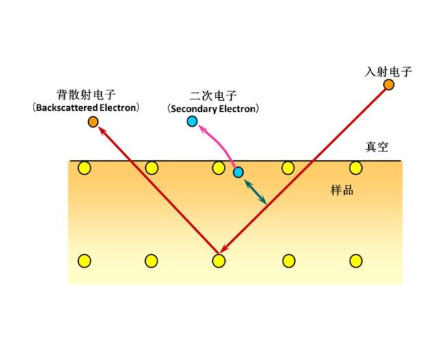 扫描电镜干货分享：熟悉电子在电镜中的的运动，轻松理解扫描电镜的工作原理