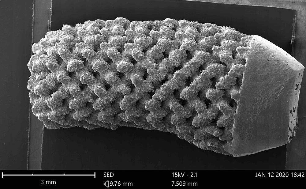 种植牙（1000mm x 400mm）全景拼图