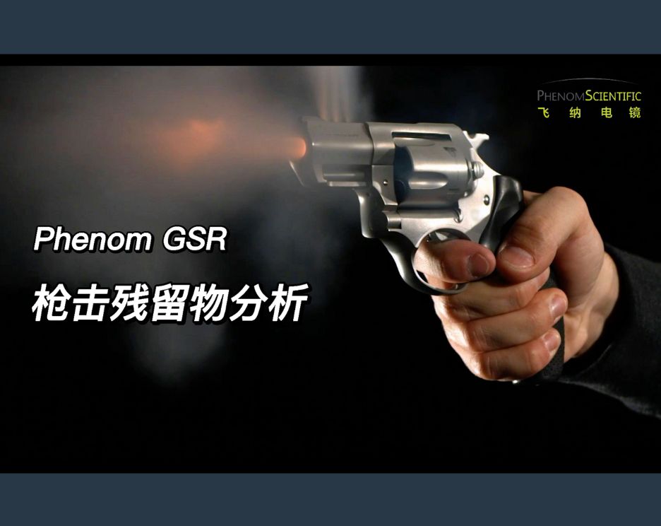 Phenom GSR 枪击残留物分析