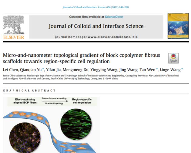 华南理工大学发表新成果：一种新型结构的生物支架可实现细胞区域特异性调控