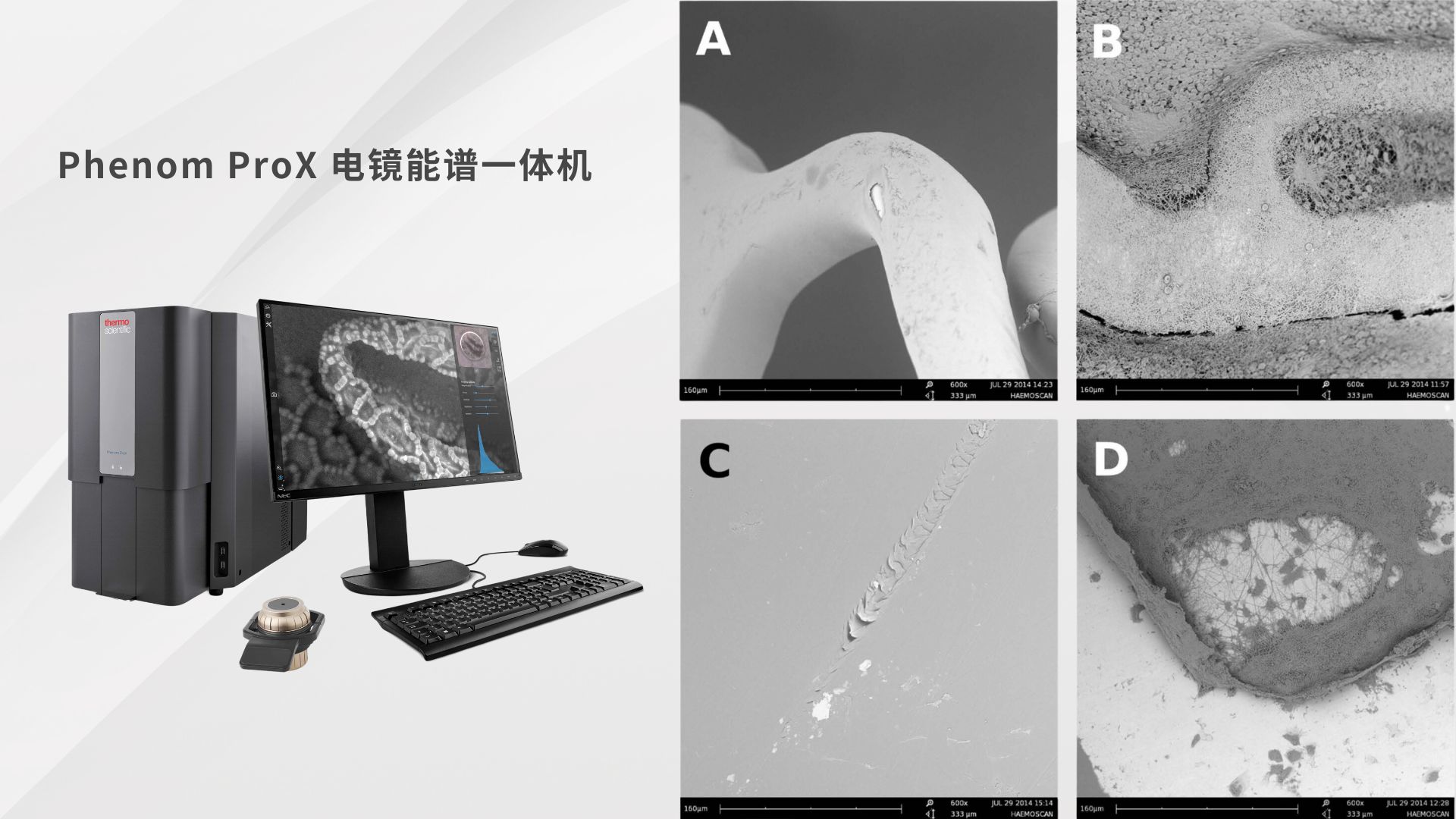 医疗器械相容性研究