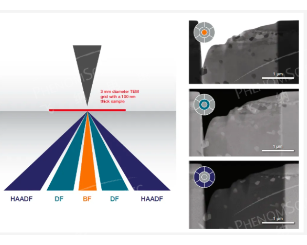 飞纳台式场发射扫描-透射（SEM—STEM）电子显微镜应用案例分享