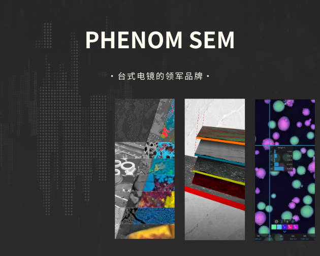【下篇】飞纳电镜，从飞利浦到赛默飞，是最“老”的电镜，也是最“新”的电镜！