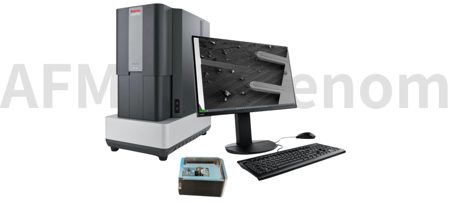 AFM-SEM