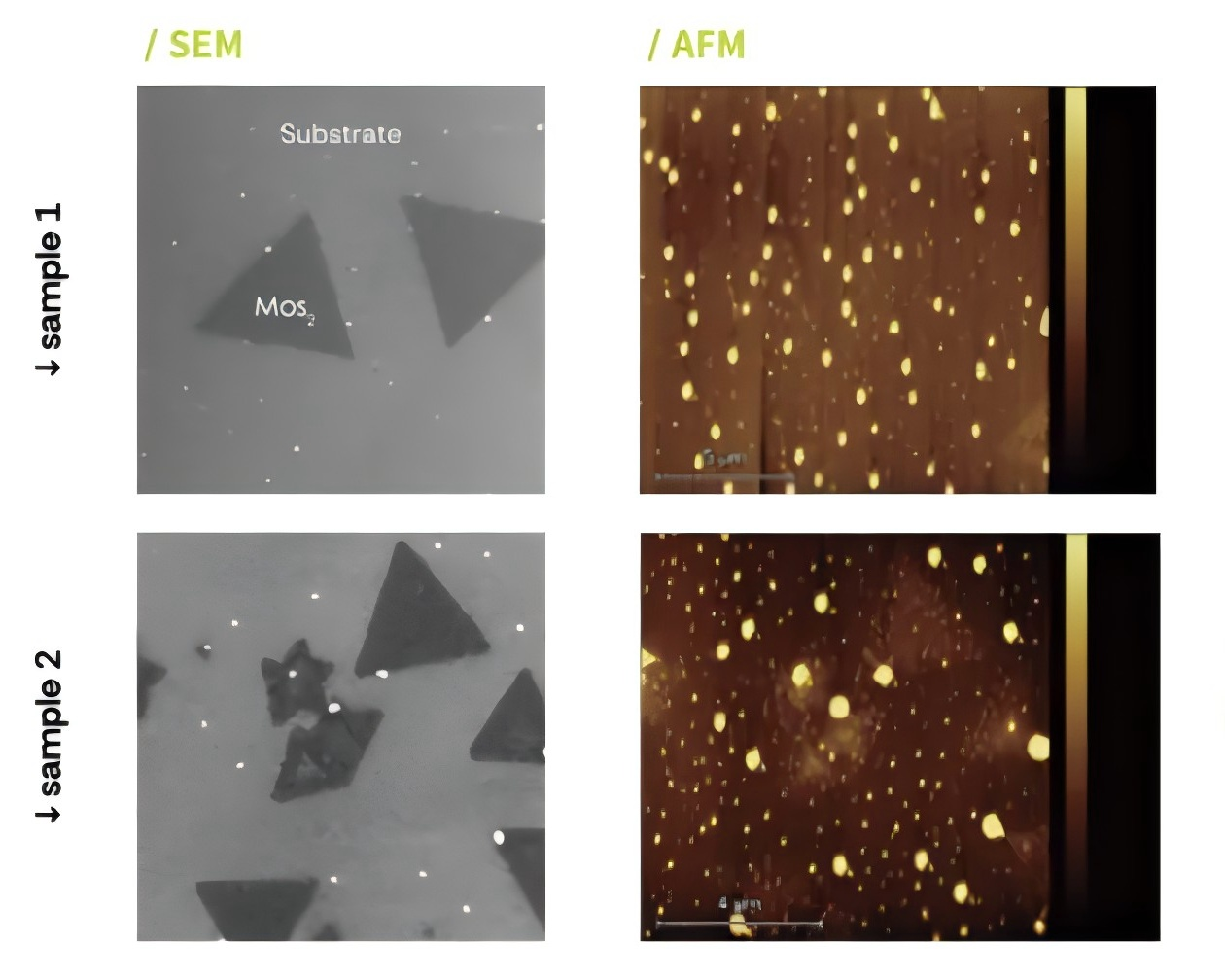 二维材料研究？试试 AFM-SEM 原子力扫描电镜一体机？