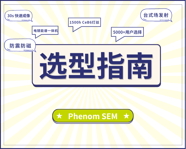 2025飞纳电镜选型指南--打造高效实验室，科研仪器投资物超所值的终极宝典！