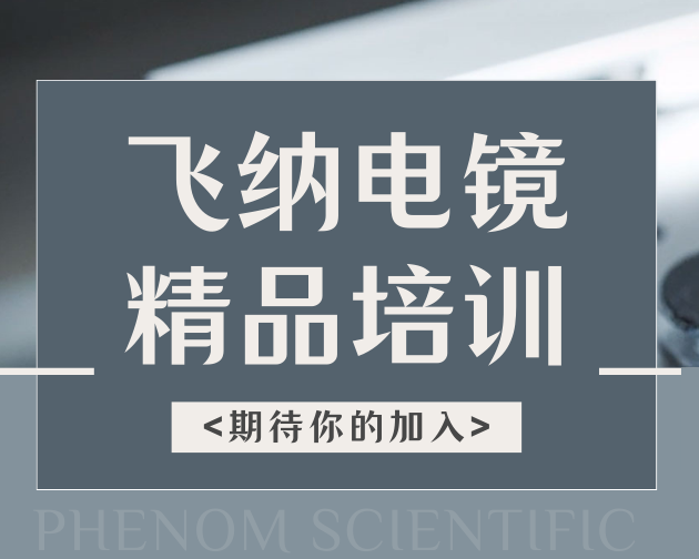 飞纳电镜精品培训课：解锁专业技能新高度