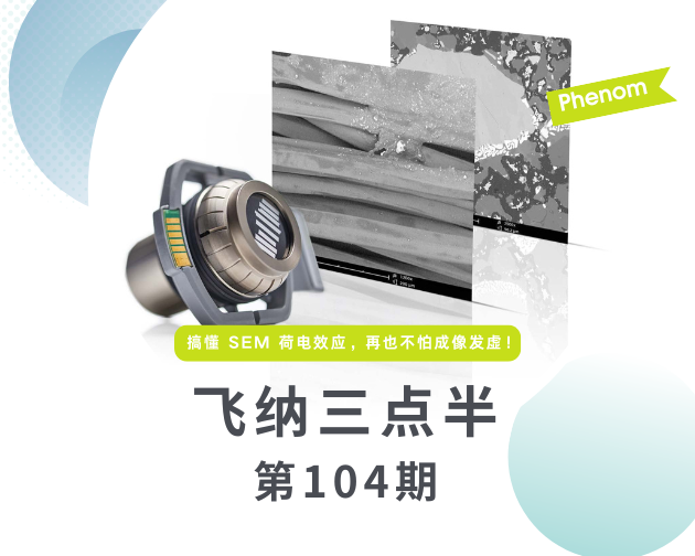 【飞纳三点半，科普有点范儿！】第 104 期：搞懂 SEM 荷电效应，再也不怕成像发虚！