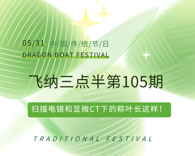 【飞纳三点半，科普有点范儿！】第105期：端午特别篇｜扫描电镜和显微CT下的粽叶和艾草长这样！