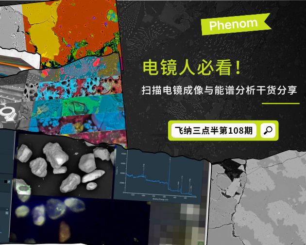 【飞纳三点半，科普有点范儿！】第 108 期：地图式谱图+彩色成像，原来电镜还能这么玩！