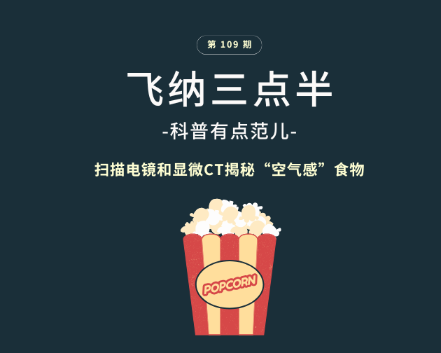 【飞纳三点半，科普有点范儿！】第 109期：“空气感”食物只是口感？显微CT下的爆米花、跳跳糖和鱿鱼游戏糖饼，颠覆认知！
