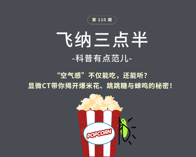 【飞纳三点半，科普有点范儿！】第 110期：“空气感”不仅能吃，还能听？显微CT带你揭开爆米花、跳跳糖与蝉鸣的秘密！