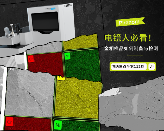 【飞纳三点半，科普有点范儿！】第 112 期：金相样品制备不当会出大问题？工程师教你避坑全攻略