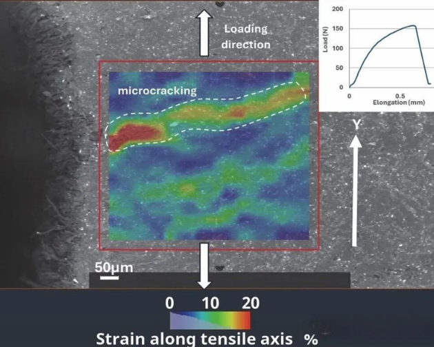 多维度表征(下)|用扫描电镜,CT 与仿真
