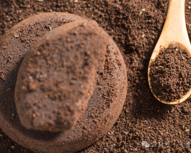 咖啡渣登上《AFM》？飞纳台式扫描电镜揭示可降解纳米发电机的微观秘密