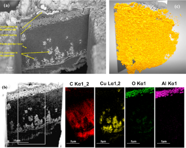 磷酸铁锂中金属异物的检测与分析｜锂电池安全风险及扫描电镜全自动检测方案