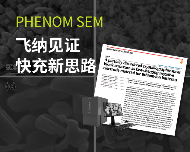 一分钟充满？飞纳场发射电镜助力 Nature 子刊研究，“无序”结构竟让锂电更快！