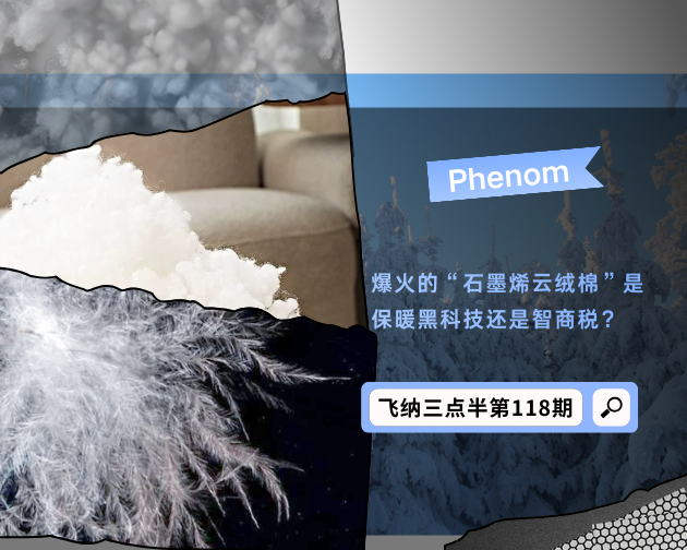 【飞纳三点半，科普有点范儿！】第 118 期：爆火的“石墨烯云绒棉”是保暖黑科技还是智商税？扫描电镜揭秘羽绒服填充物真相！