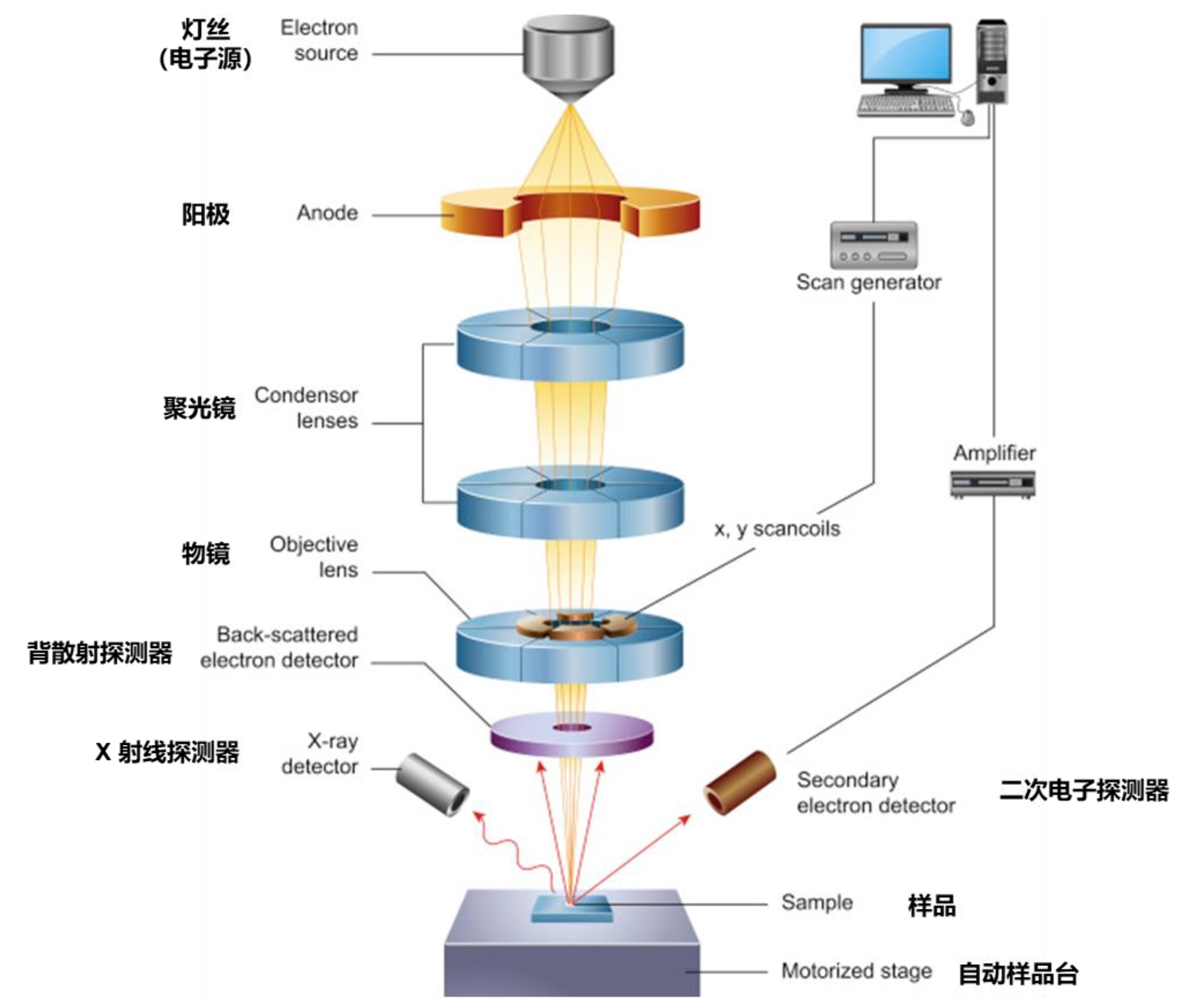 扫描电镜示意图