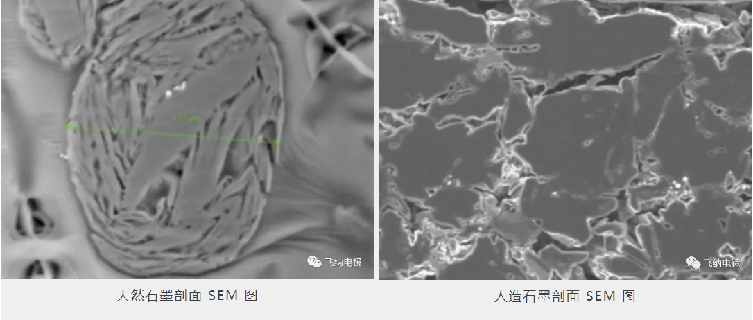 石墨剖面扫描电镜（SEM）图