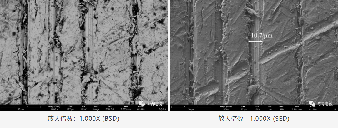 扫描电镜和离子研磨仪在电子器件失效分析中的应用案例