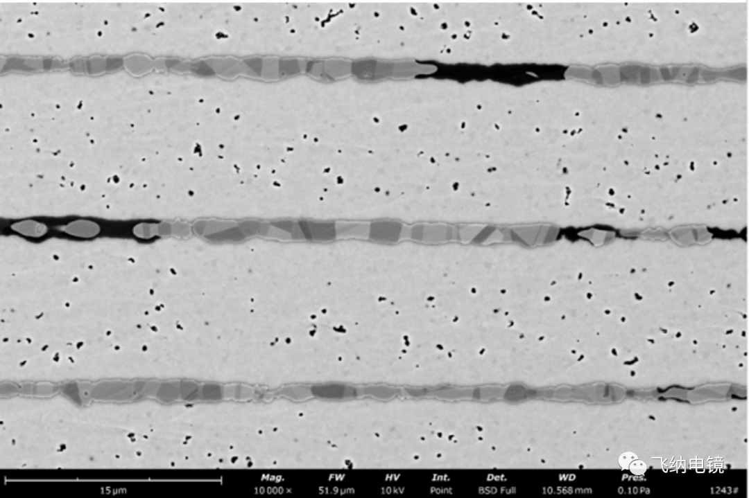 离子研磨抛光后，使用飞纳扫描电镜观察，可以确定孔隙，空洞