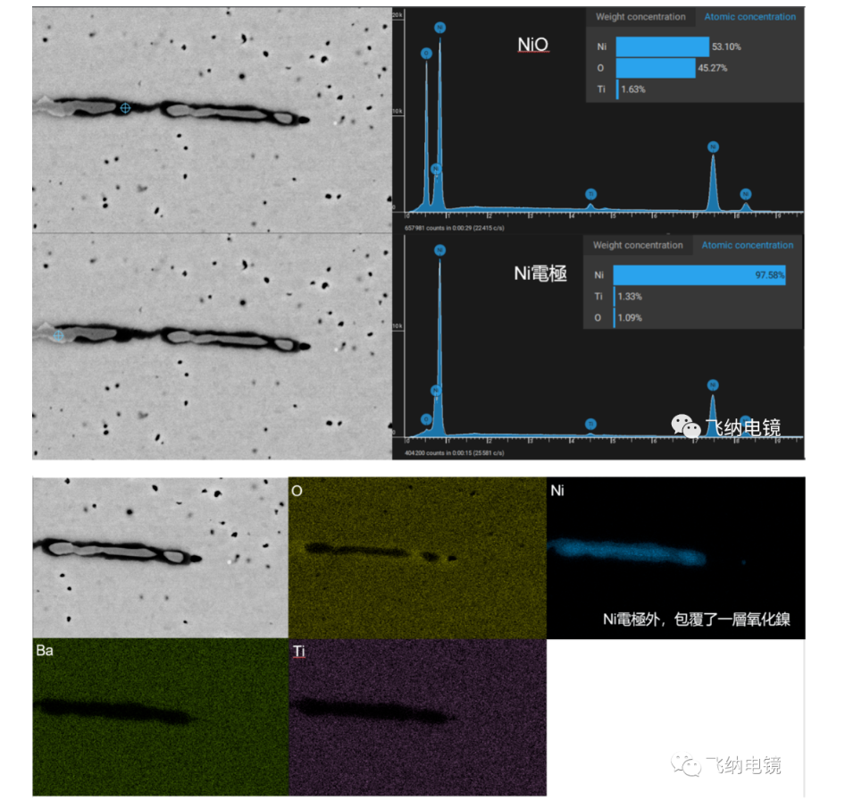 结合飞纳电镜能谱结果发现 MLCC 内电极存在被氧化现象