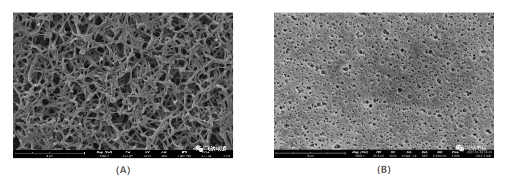 典型的尼龙滤膜和聚醚砜滤膜表面扫描电镜图
