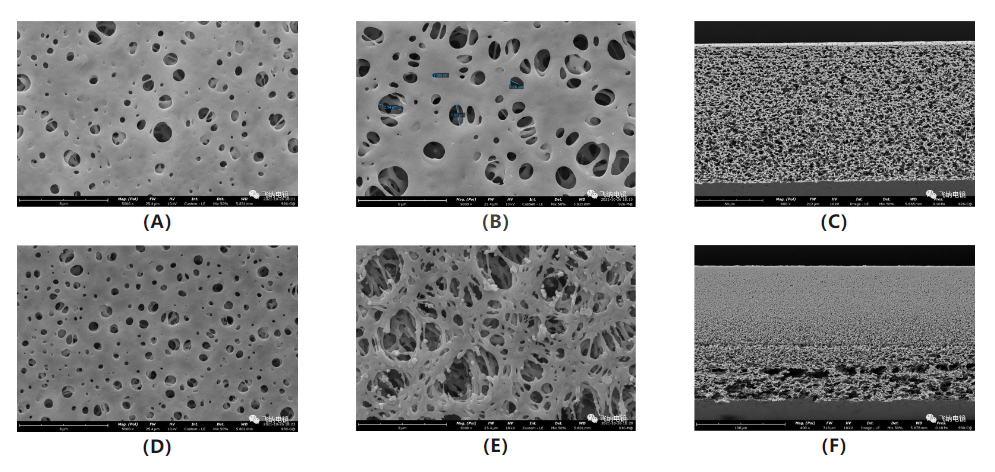 滤膜结构上通常会有一些特殊的设计扫描电镜图