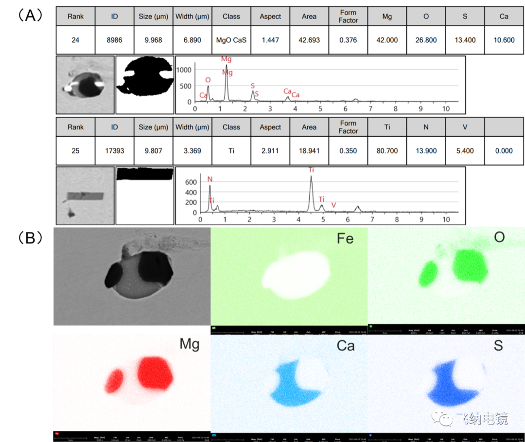 （A）Phenom ParticleX 自动采集的钢材夹杂物数据（B）夹杂物颗粒的 EDS-Mapping 结果