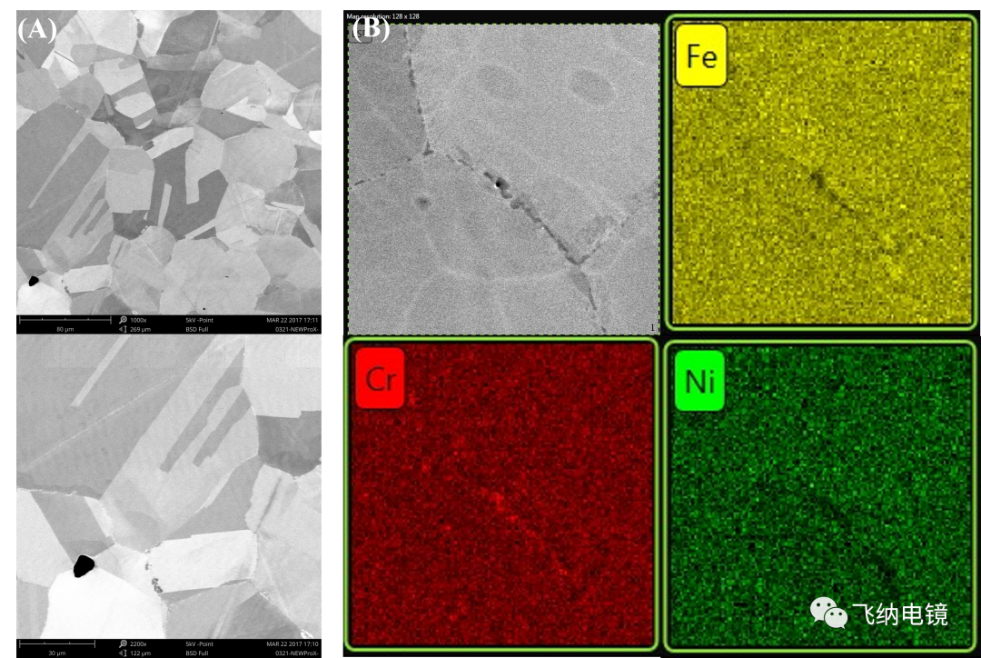 316 不锈钢的扫描电镜 SEM 显微结构分析结果
